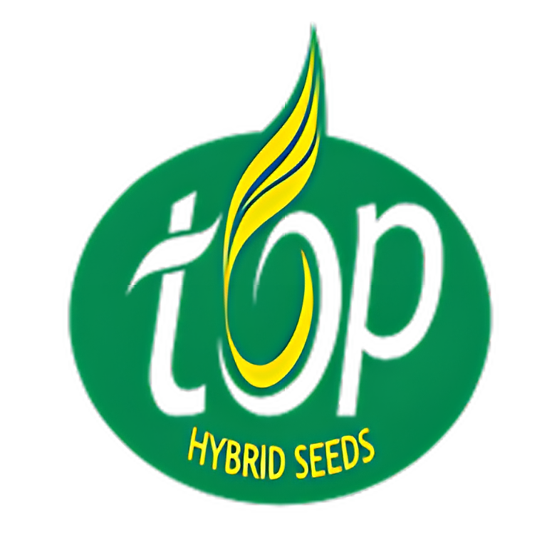 Top Hybrid Seeds